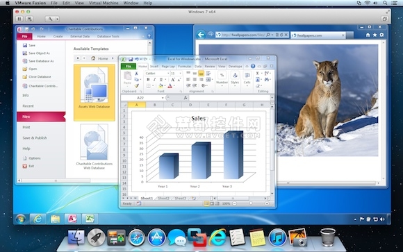 Windows程序,VMware Fusion