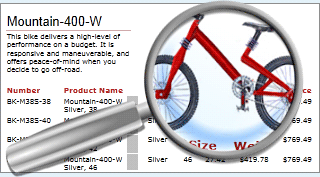 WPF Viewer