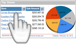 WPF Viewer