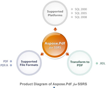 Aspose.Pdf for Reporting Services