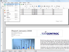 TX Text Control ActiveX Server