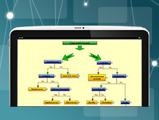 MindFusion Xamarin Diagram