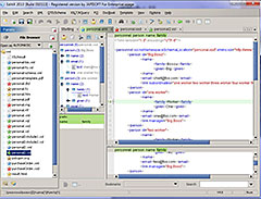 EditiX XML Editor授權購買