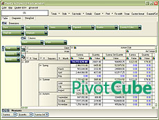 PivotCube授權(quán)購買