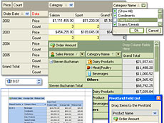 ExpressPivotGrid Suite