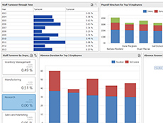 DevExpress Analytics Dashboard