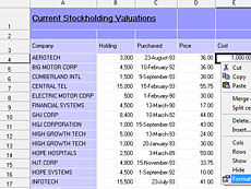 ExpressSpreadSheet授權(quán)購買