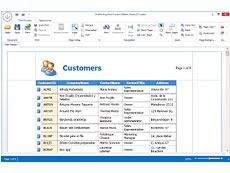 XtraPrinting Library