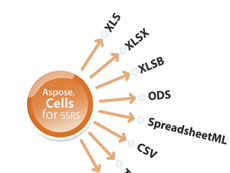 Aspose.Cells for Reporting Services授權(quán)購(gòu)買(mǎi)