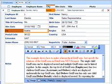 DataForm.NET授權(quán)購(gòu)買(mǎi)