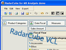 RadarCube VCL 