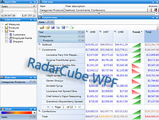RadarCube WPF (OLAP Grid & OLAP Chart)