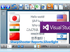 SharpShooter Reports.Silverlight授權(quán)購買