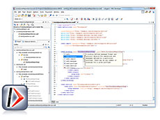 oXygen XML Developer