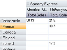 VIBlend DataGridView for WinForms