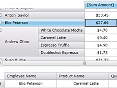 VIBlend  OLAP Pivot Table for Silverlight