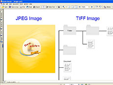 PDF Creator Pilot授權購買