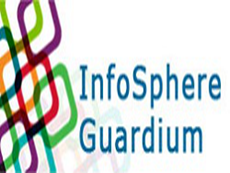 IBM Security Guardium Data Encryption授權購買