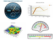 Nevron Vision for SSRS