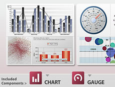 Nevron Vision for SharePoint授權(quán)購(gòu)買