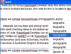 RapidSpell Desktop Java