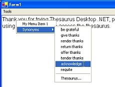 Thesaurus Desktop .NET授權(quán)購(gòu)買(mǎi)