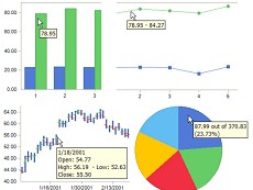 Chart FX for Java Server授權(quán)購(gòu)買