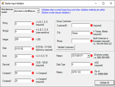 Xceed Input Validator?for?WinForms